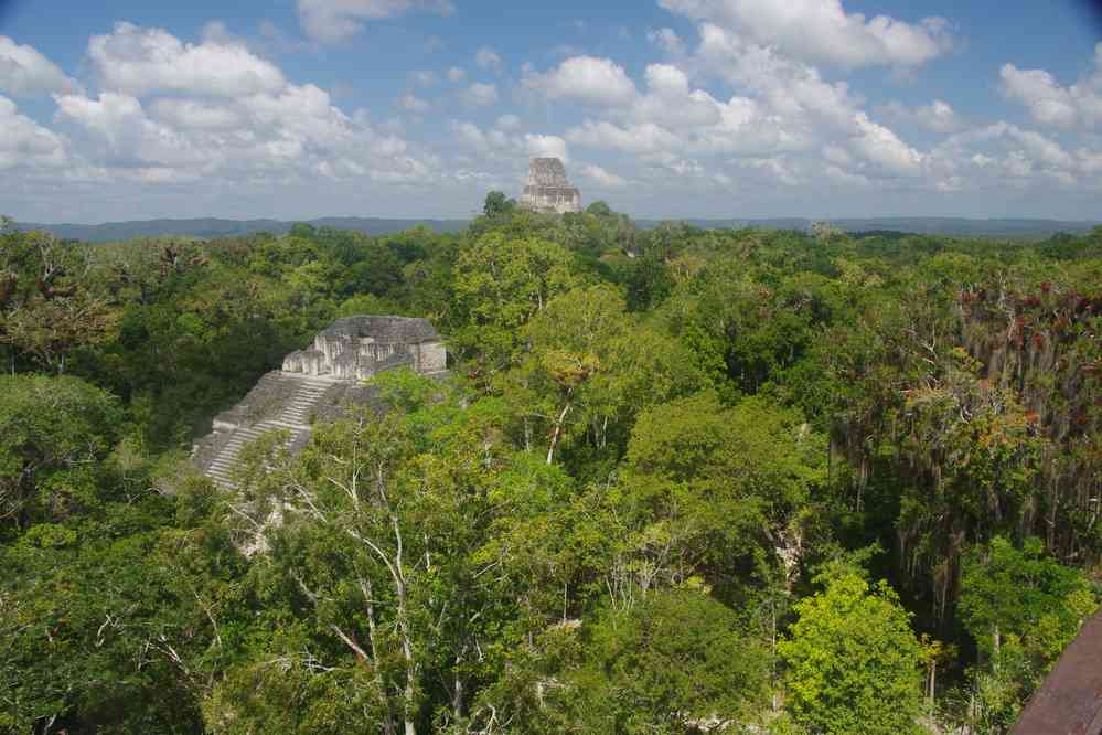 Tikal : depuis la grande pyramide du Monde Perdu, le 21 février 2020