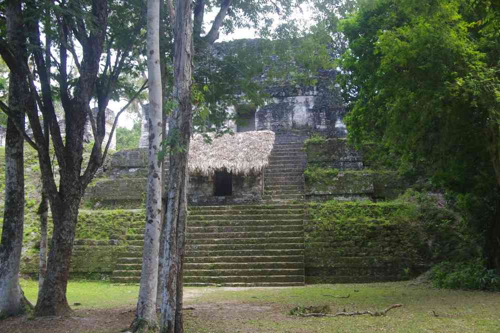 Tikal : vers l’Acropole sud, le 21 février 2020