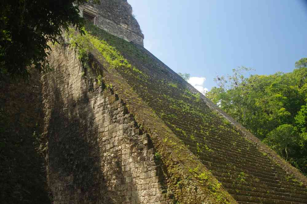 Tikal : le temple V (le second par la hauteur, 59 m), le 21 février 2020