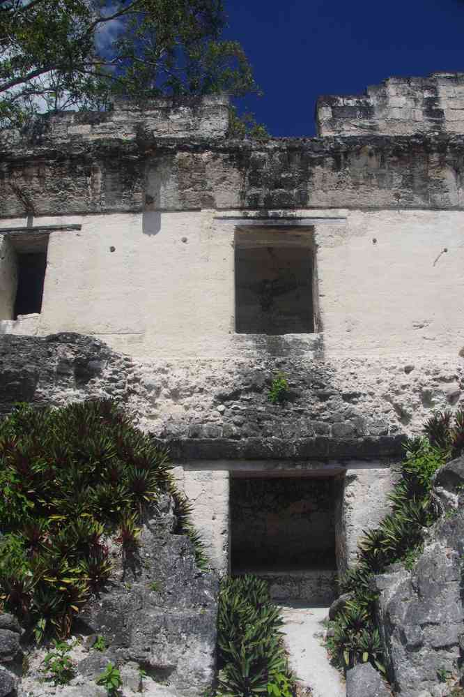 Tikal : palais royal, le 21 février 2020