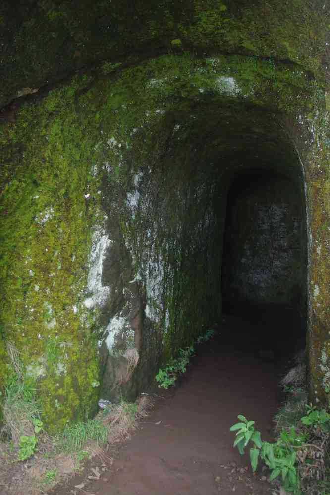 Du pico Ruivo au pico do Arieiro. Tunnel sur le sentier, le 5 mai 2022