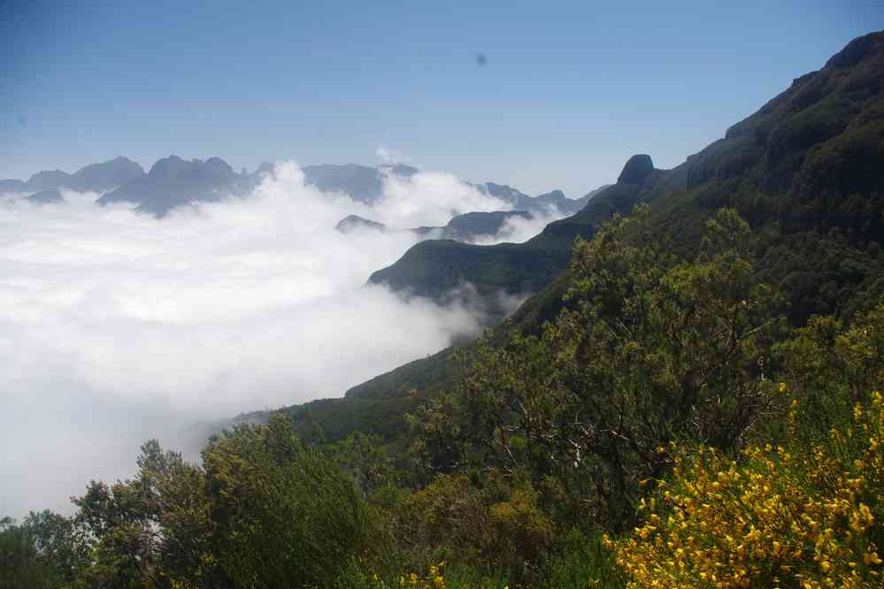 Début de descente du plateau Paul da Serra. Au fond le pico Ruivo et le pico do Arieiro, le 11 mai 2022