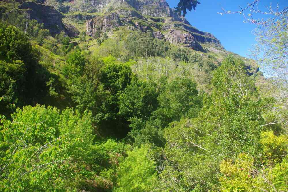 Itinéraire montagnard en direction du col Boca do Cerro, le 12 mai 2022