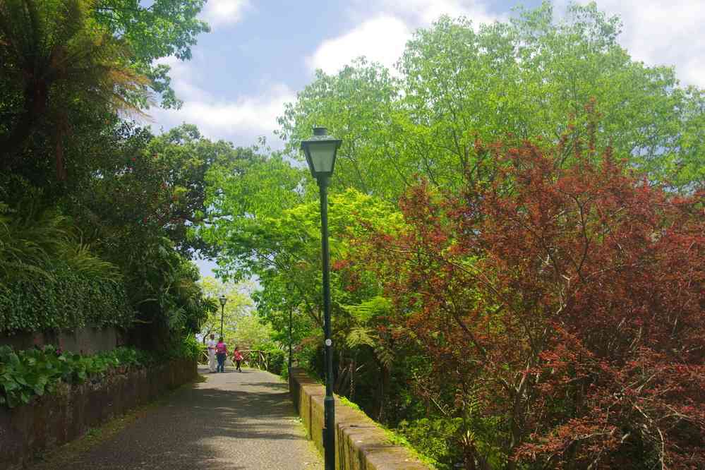 Funchal, parc de Monte, le 13 mai 2022