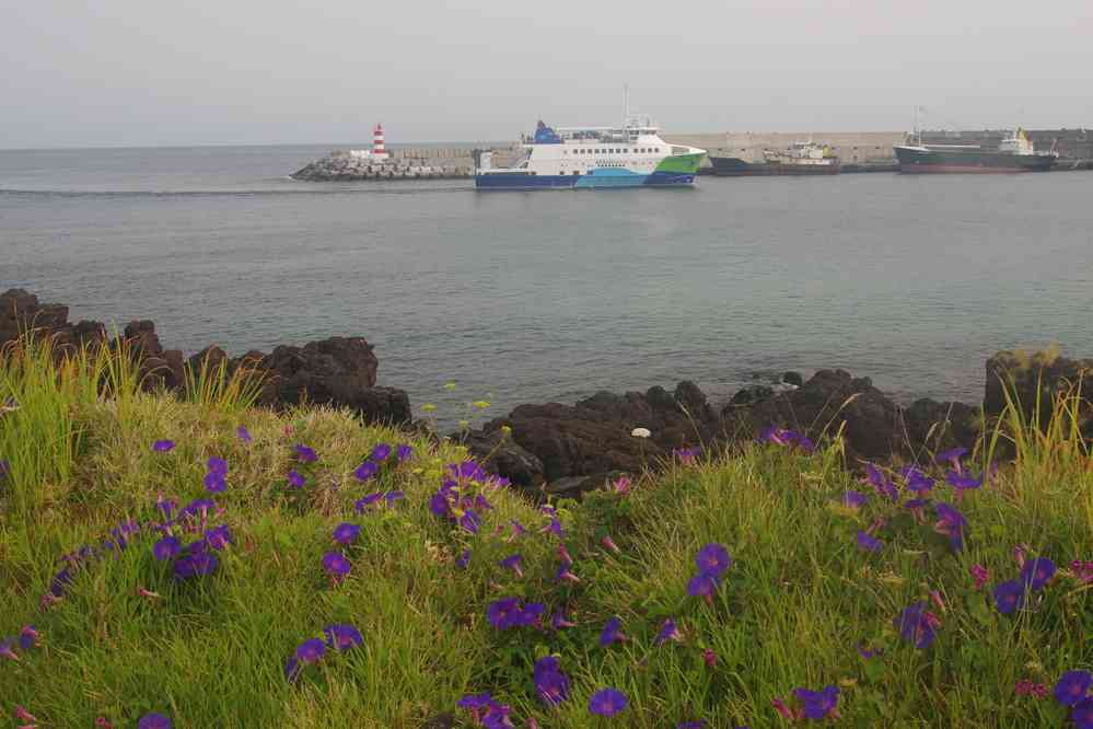 Entrée d’un navire transbordeur dans le port de Pico, le 25 juin 2023