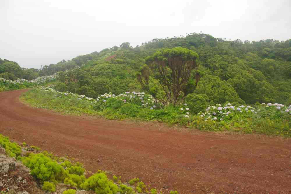 Début de randonnée près de Cabeça Verde, le 25 juin 2023