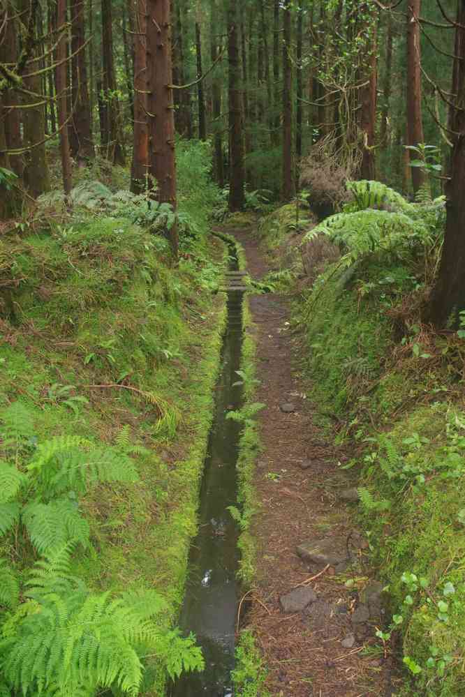 Randonnée le long d’une ancienne levada (levada de Cabeço da Trinta). Construite pour alimenter une usine hydro-électrique, abandonnée à la suite d’un séisme mais entretenue à des fins touristiques, le 26 juin 2023