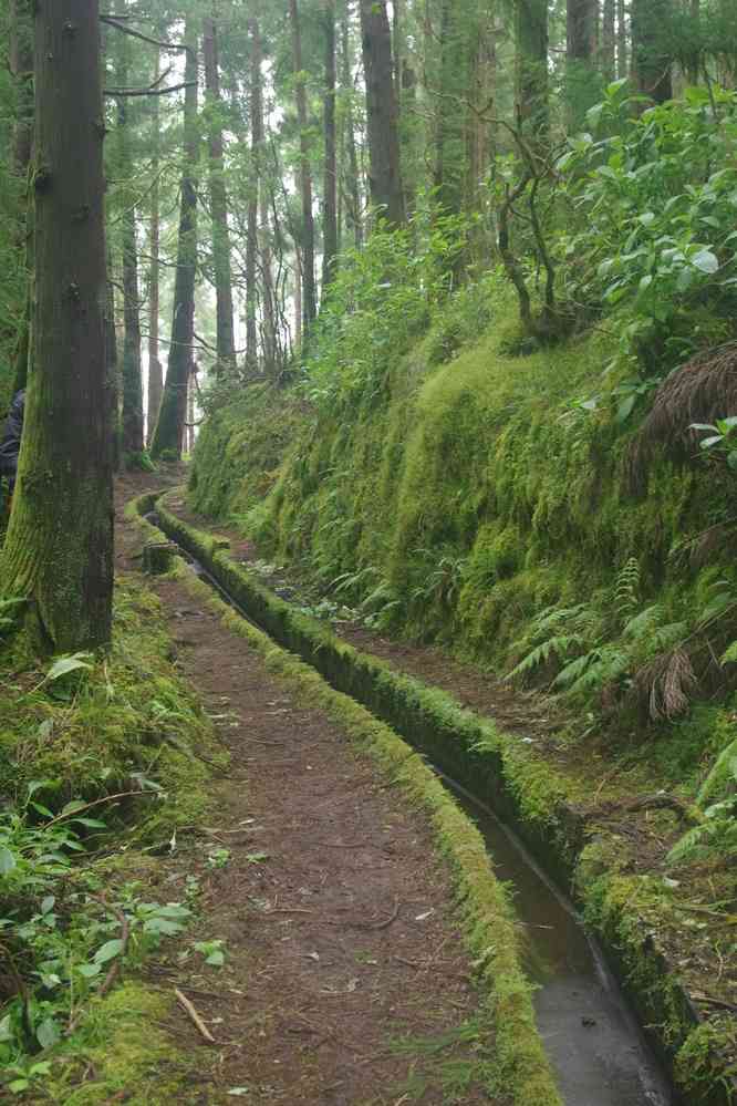 Randonnée le long d’une ancienne levada (levada de Cabeço da Trinta). Construite pour alimenter une usine hydro-électrique, abandonnée à la suite d’un séisme mais entretenue à des fins touristiques, le 26 juin 2023