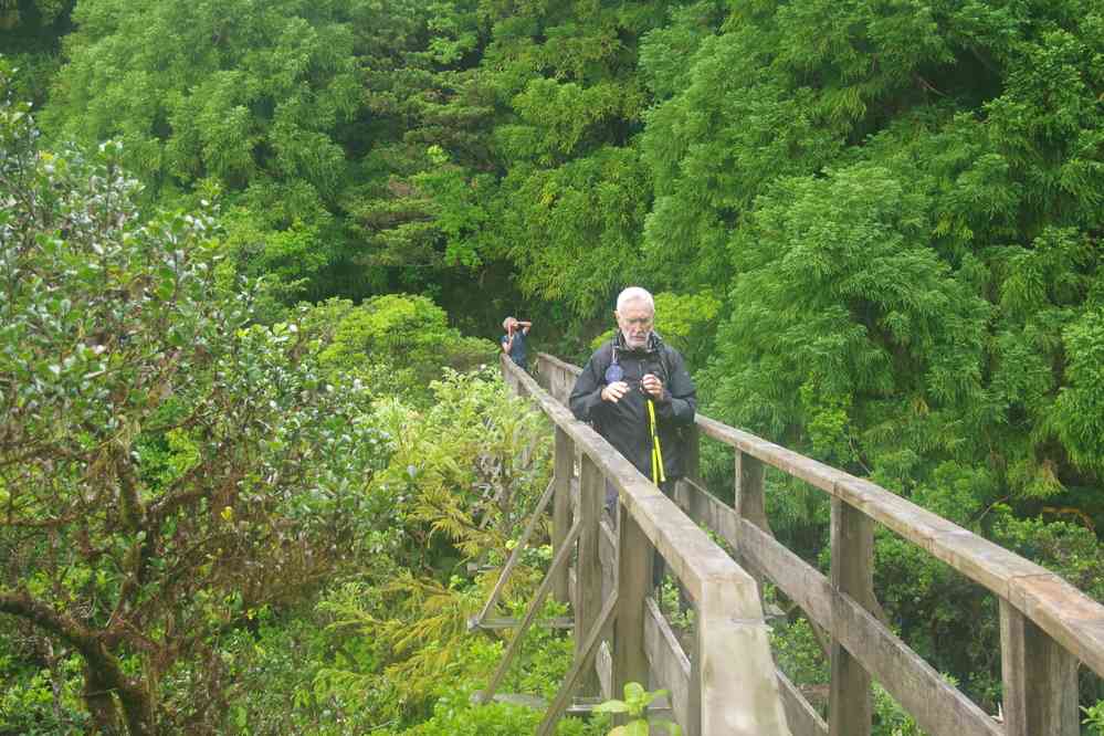 Randonnée le long d’une ancienne levada (levada de Cabeço da Trinta), le 26 juin 2023