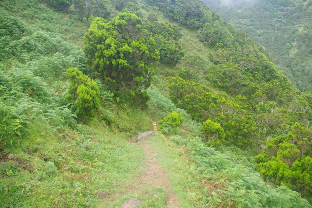 Descente vers la fajã da Caldeira, le 27 juin 2023