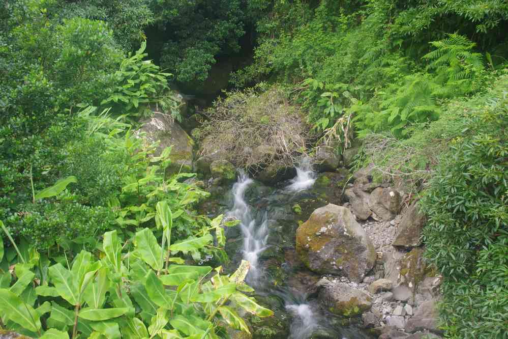 Descente vers la fajã da Caldeira, le 27 juin 2023