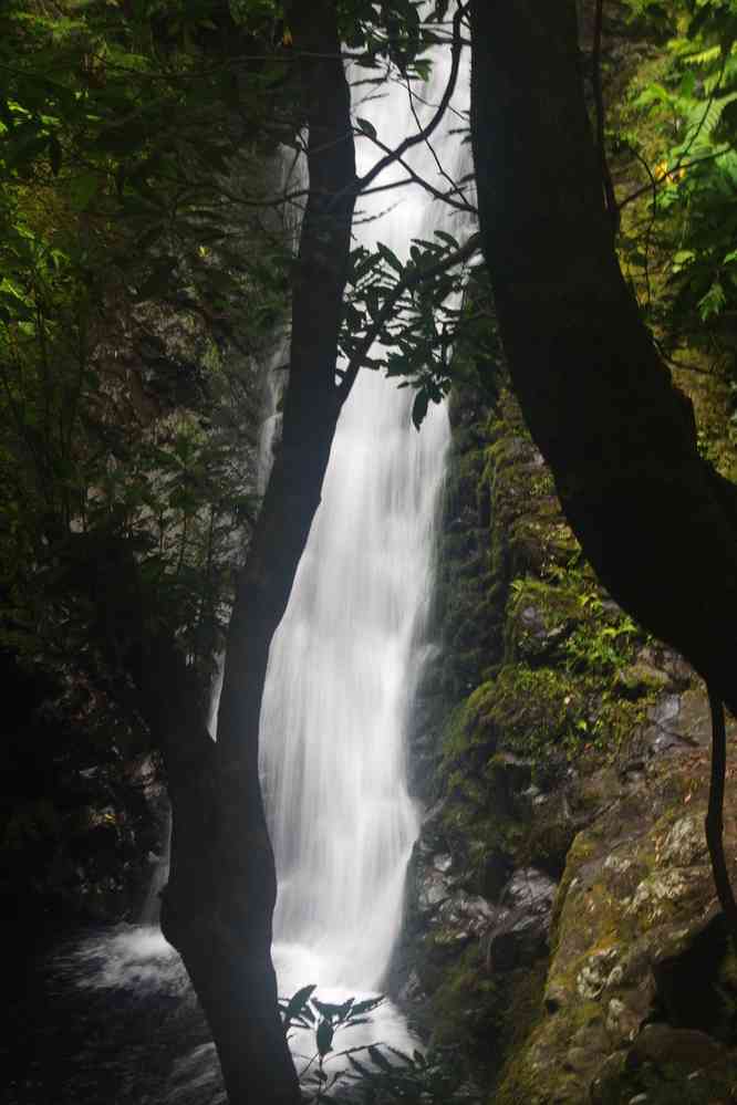 Descente vers la fajã da Caldeira. Cascata Pequena, le 27 juin 2023