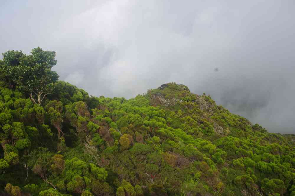 Ascension du volcan Pico, le 30 juin 2023