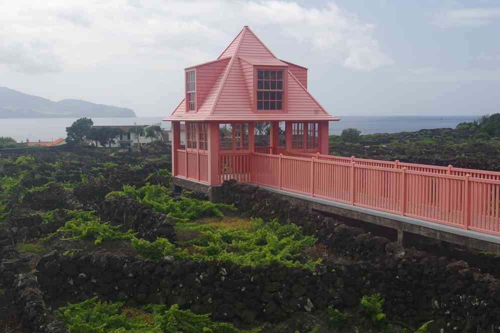 Pico, musée de la vigne, le 1ᵉʳ juillet 2023