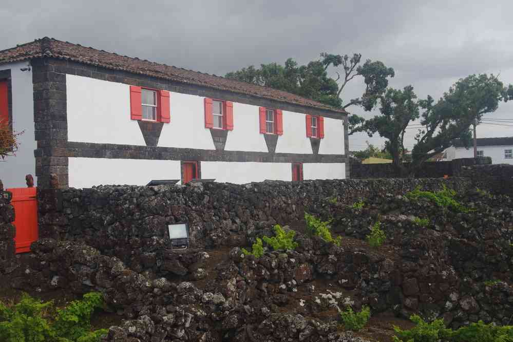 Pico, musée de la vigne, le 1ᵉʳ juillet 2023