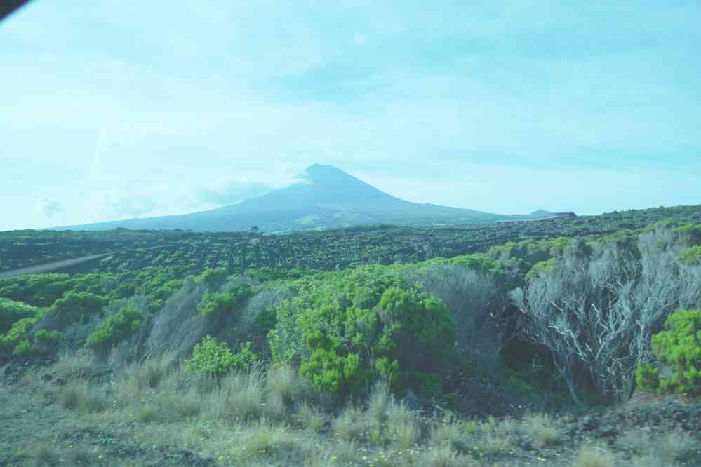 Le volcan Pico dégagé, photographié depuis le bus nous conduisant à l’aéroport, le 2 juillet 2023