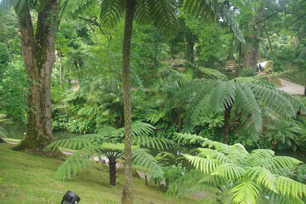 Furnas, parc de Terra Nostra, le 3 juillet 2023