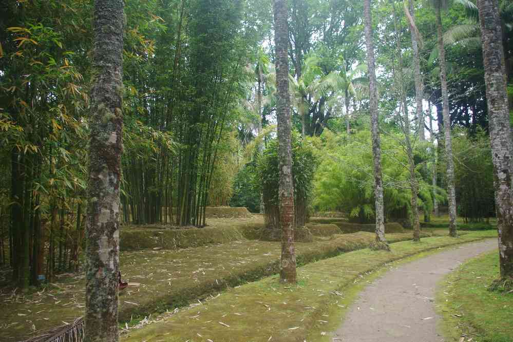 Furnas, parc de Terra Nostra, le 3 juillet 2023