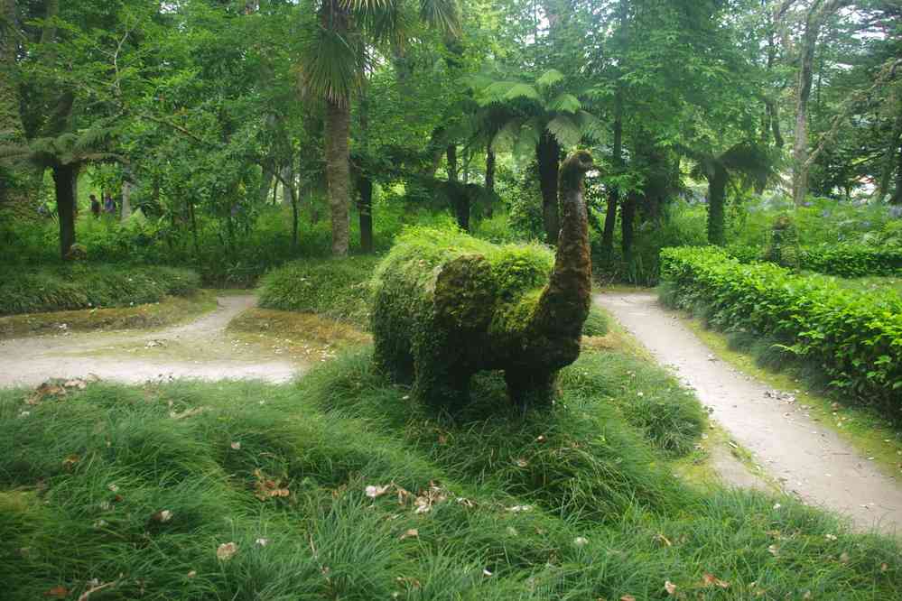 Furnas, parc de Terra Nostra, le 3 juillet 2023