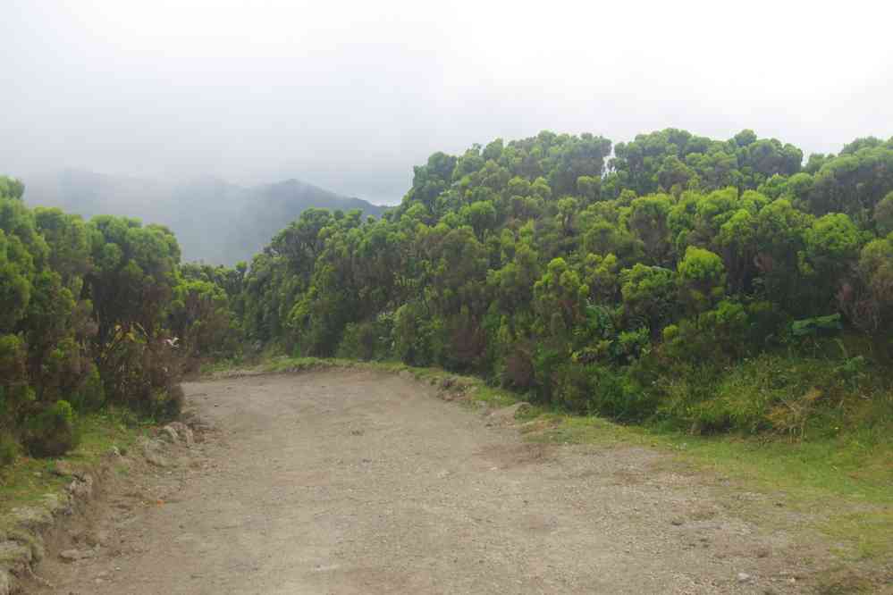 Randonnée vers le lagoa do Fogo, le 5 juillet 2023. Contre toute attente, la caldeira n’est pas prise dans le brouillard