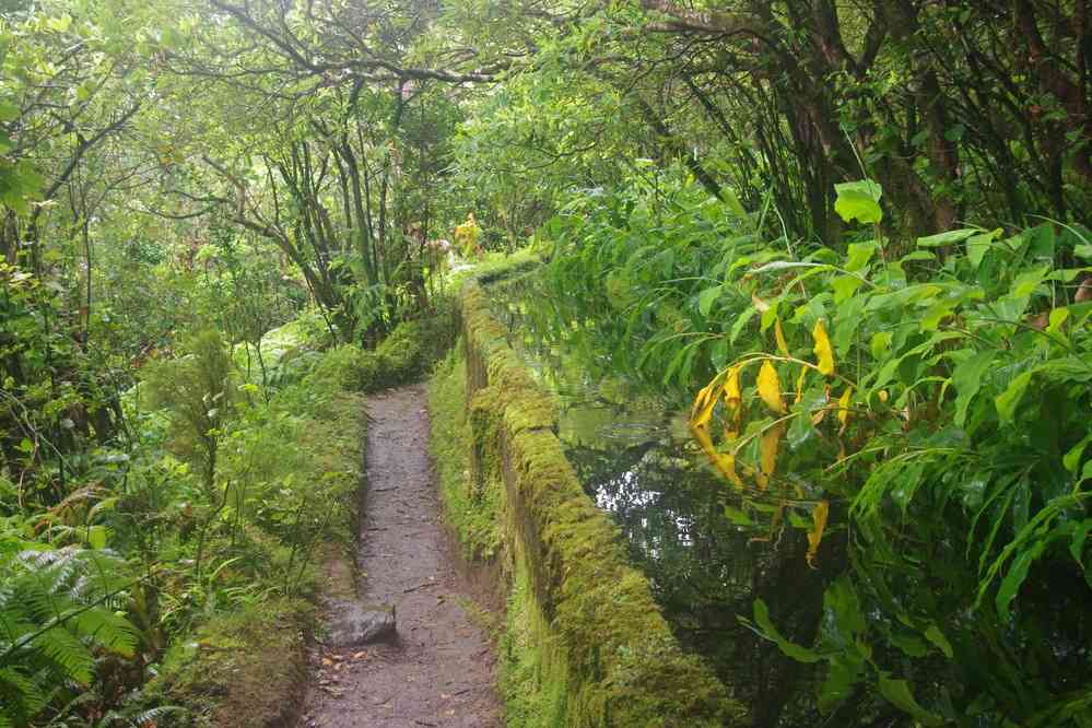 Descente du lagoa do Fogo, le 5 juillet 2023 (Le long d’une levada comme à Madère…)