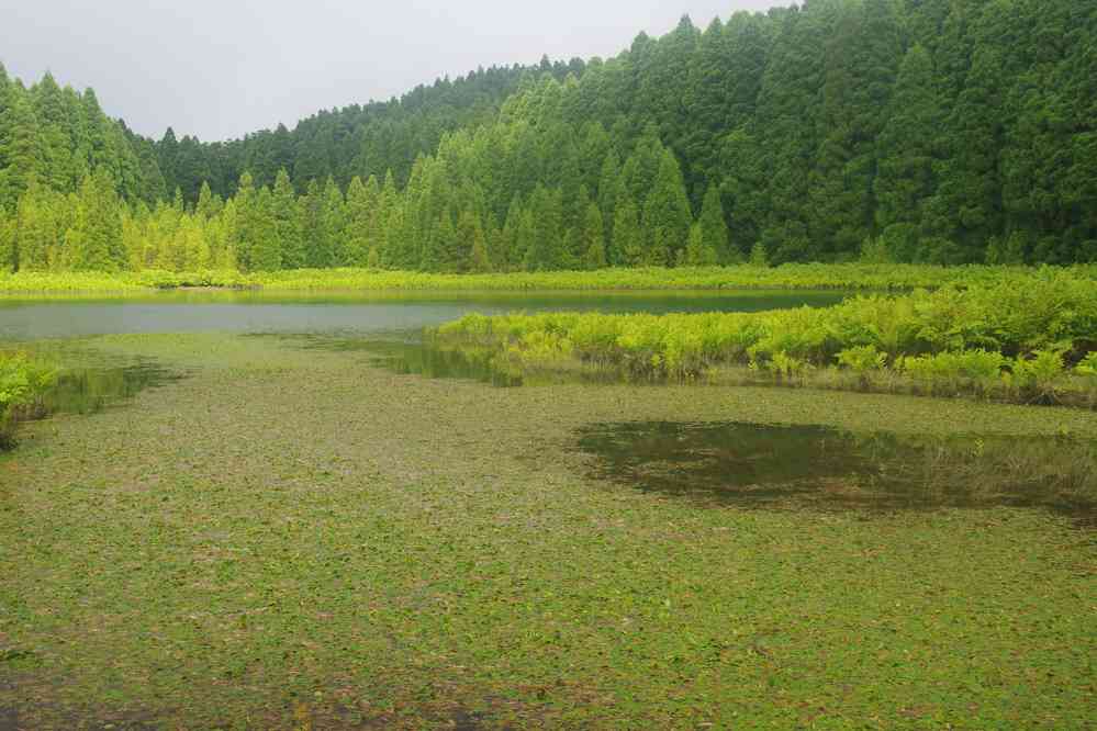 La Lagoa do Canário (dans le secteur des Sete Cidades), le 6 juillet 2023