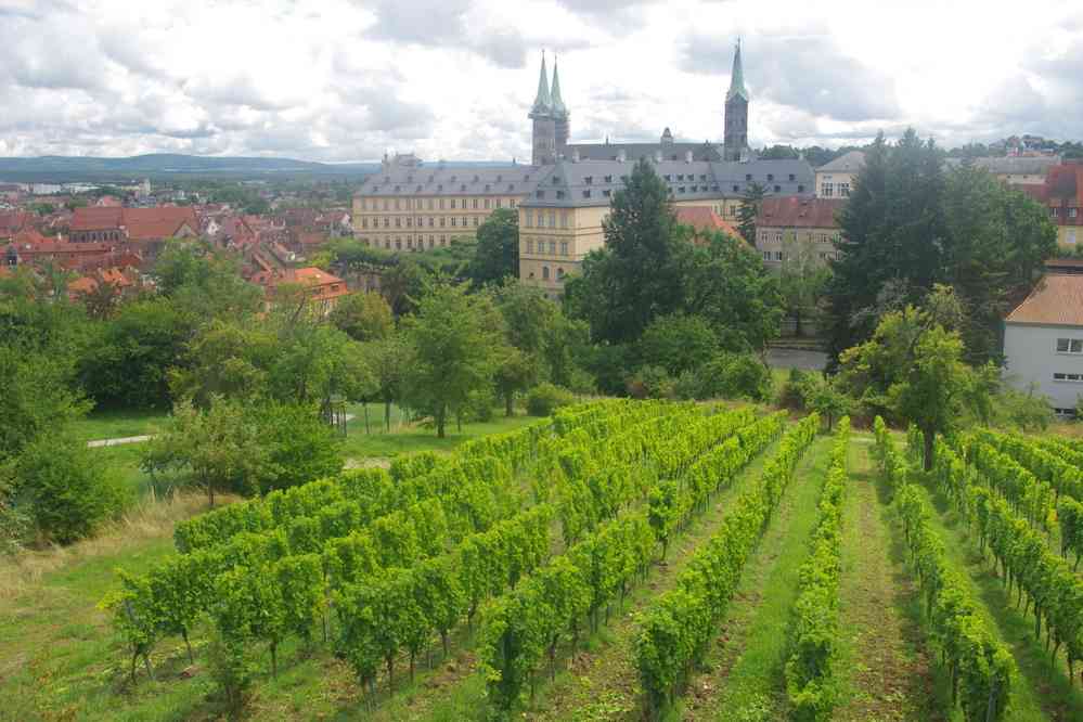 Bamberg, la ville vue depuis le Michaelsberg, le 9 août 2023. Je n’ai pas goûté à la piquette...