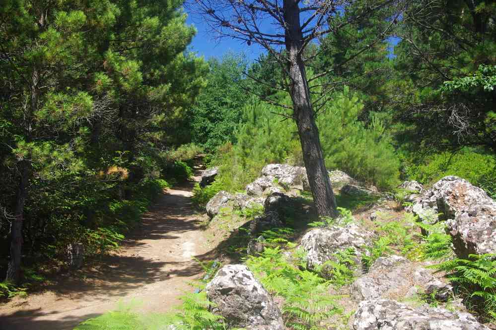 Salina, sentier du mont Fossa delle Felci, le 3 août 2020