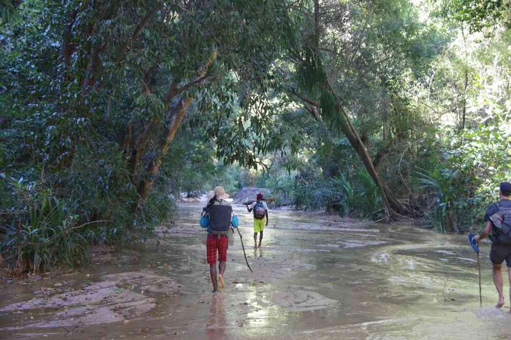 L’eau se raréfie mais reste présente, le 19 juillet 2018