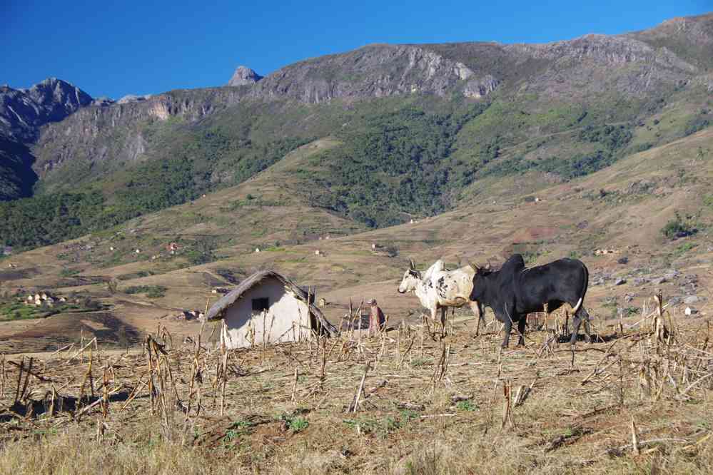 Villages au pied de l’Andringitra, le 26 juillet 2018