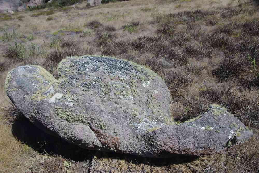 Andringitra (le bicorne de Napoléon), le 27 juillet 2018