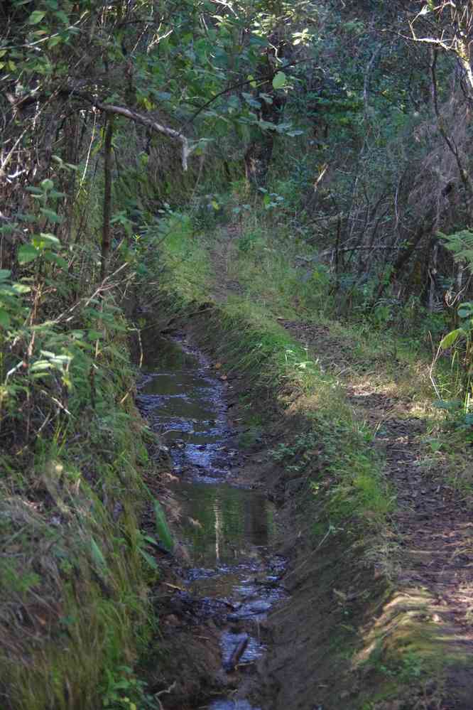 Canal d’irrigation, le 28 juillet 2018