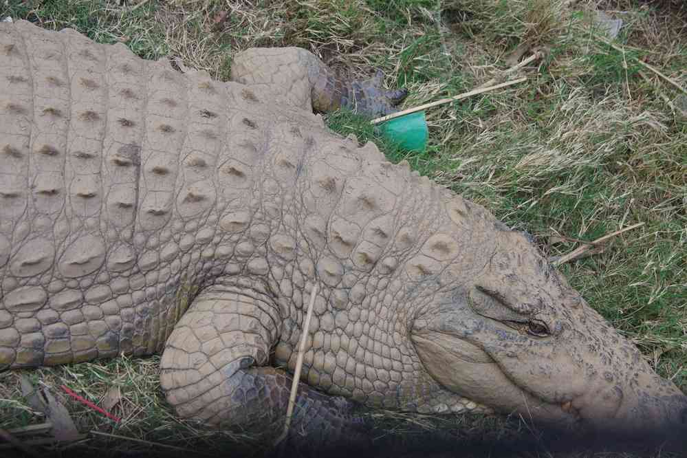 Parc botanique et zoologique de Tananarive, le 1ᵉʳ août 2018