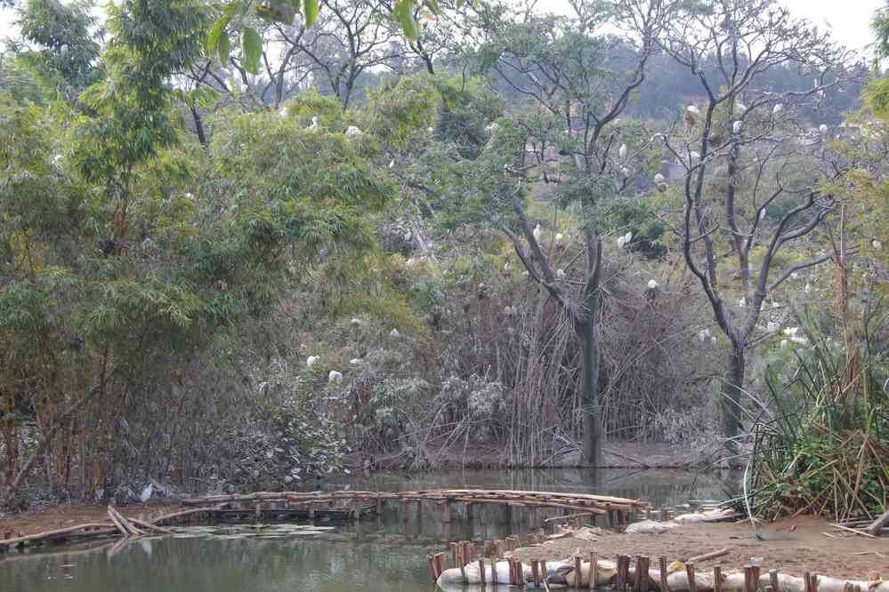 Parc botanique et zoologique de Tananarive. La neige existe à Madagascar, nous l’avons rencontrée ! (1ᵉʳ août 2018)