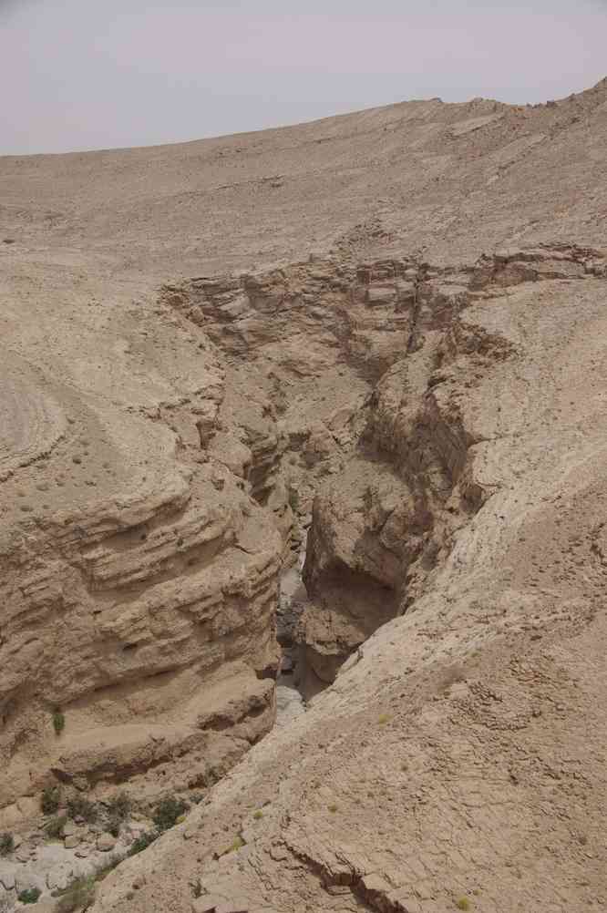 Les gorges du Wadi Bani Khalid