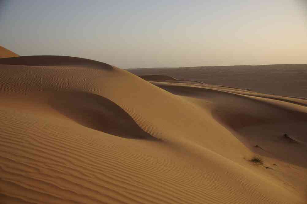 Dans les dunes de l’erg des Wahibas, le 30 mars 2012