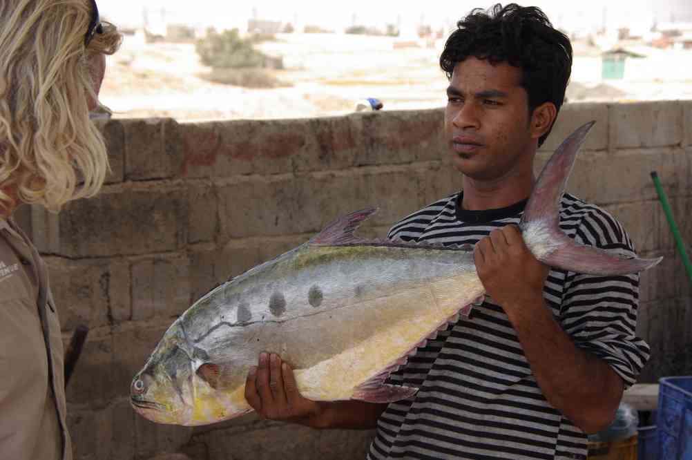 Achat de poisson à Hijj, le 1ᵉʳ avril 2012