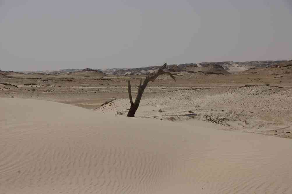 Les dunes de sucre au nord de Khaluf, le 1ᵉʳ avril 2012