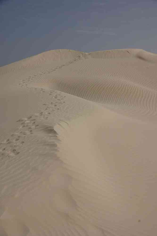 Randonnée dans les dunes de sucre, le 1ᵉʳ avril 2012