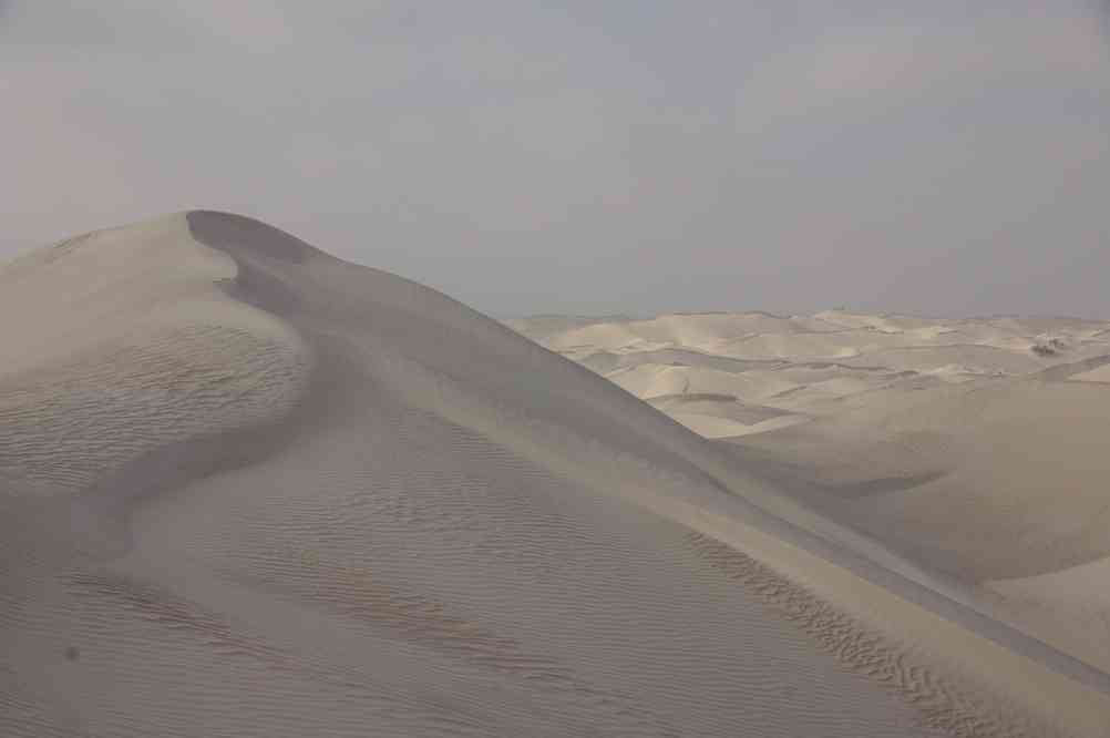 Balade matinale dans les dunes de sucre, le 3 avril 2012