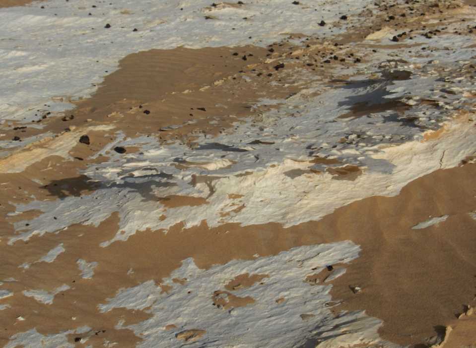Lamelle de calcaire dans le nouveau désert Blanc, le 16 avril 2005