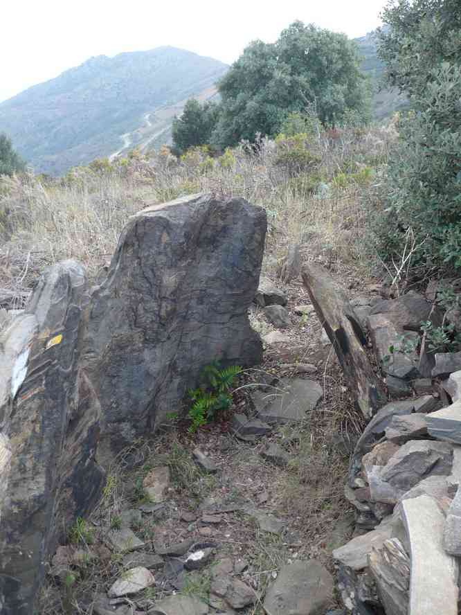 Encore un dolmen. Le lundi 31 octobre 2011