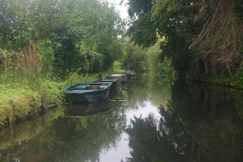 Hortillonnages d’Amiens (visite en barque). Le dimanche 14 septembre 2025