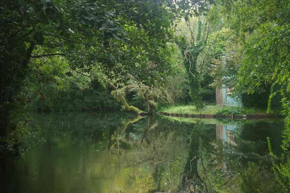 Hortillonnages d’Amiens (visite en barque). Le dimanche 14 septembre 2025