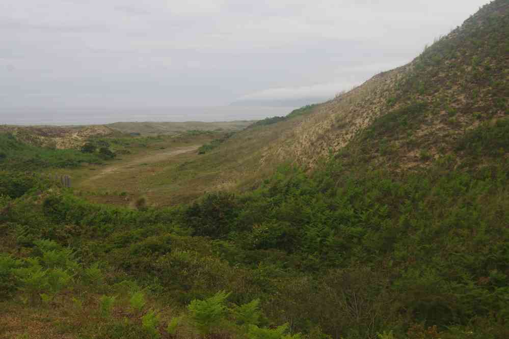 Dunes de Biville