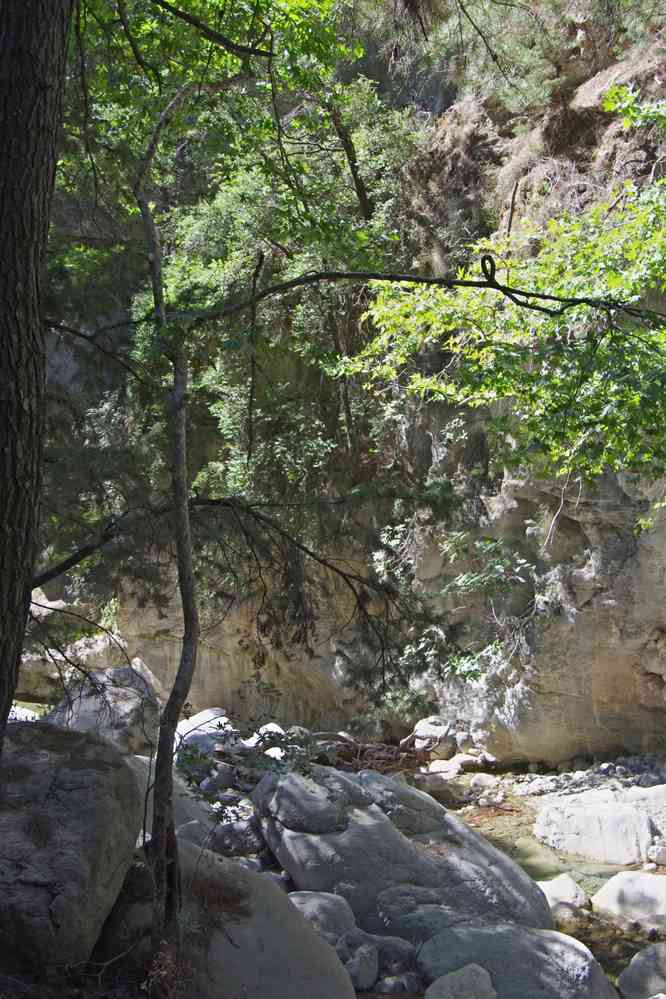 En haut des gorges de Samaria (Φαράγγι Σαμαριάς).