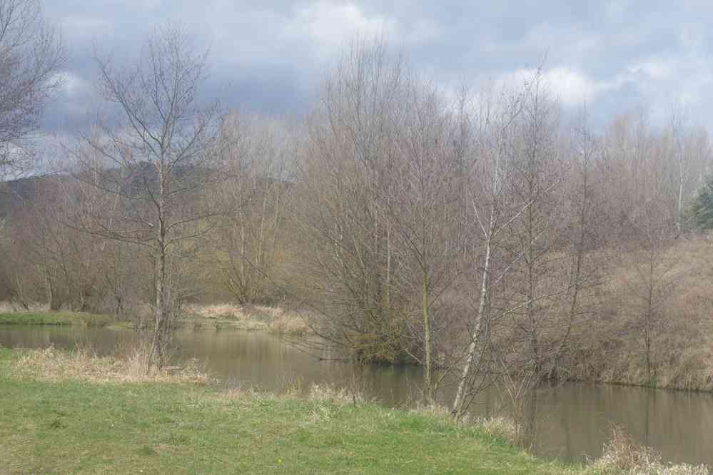 Joli ensemble d’étangs près de Bas-en-Basset. Le lundi 28 mars 2016