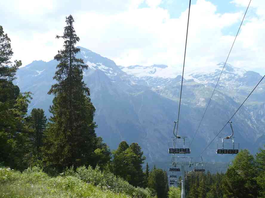 Descente en forêt au milieu des pistes de ski (vue vers la dent Parrachée et le glacier de la Vanoise). Le lundi 13 juillet 2009