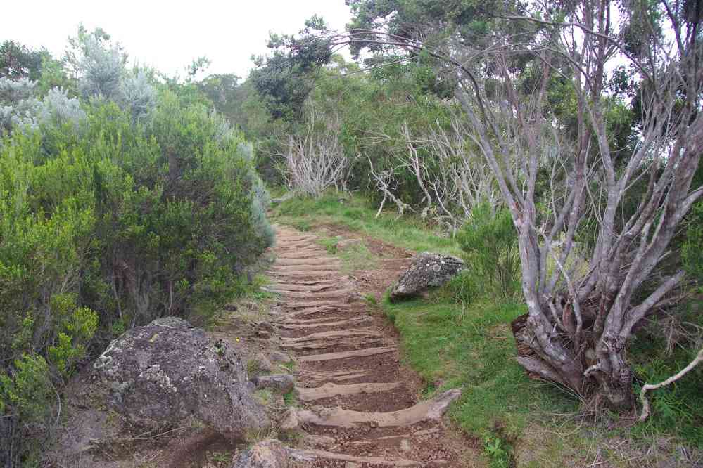 Les marches caractéristiques des sentiers de la Réunion.