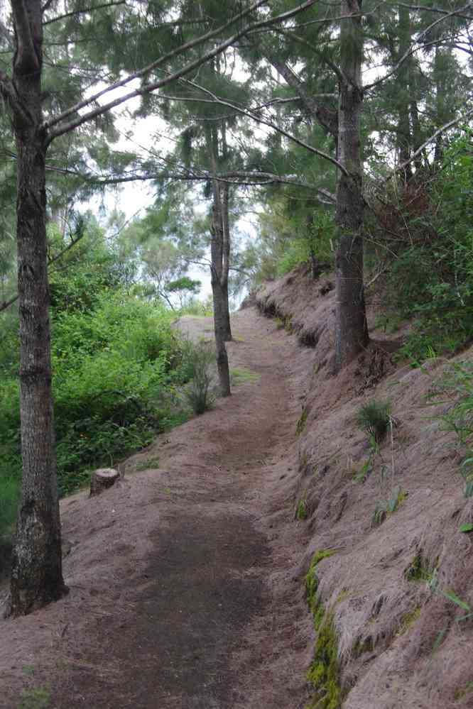 Sentier en direction de Cilaos.
